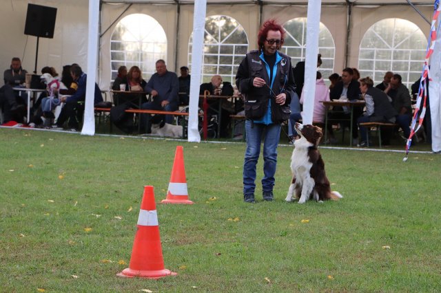 Herbstfest 2019